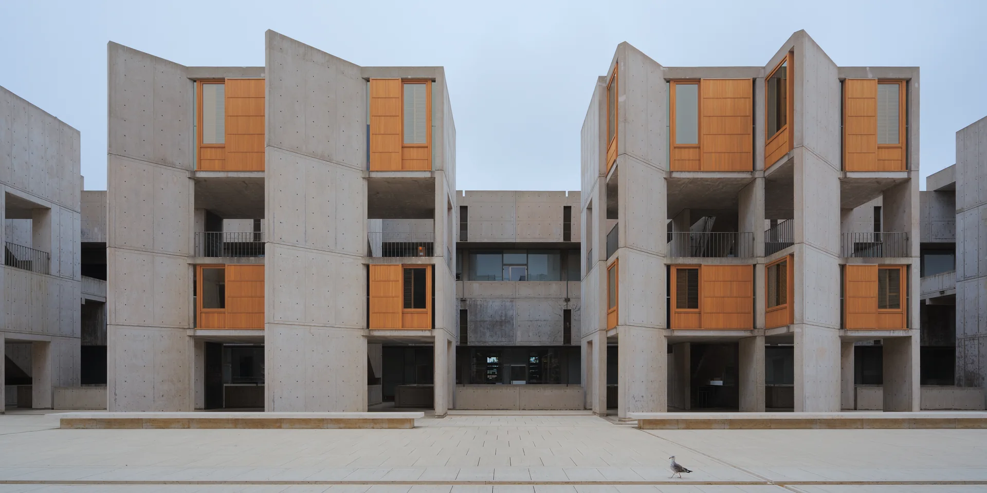The Salk Institute courtyard in La Jolla, with a seagull in the foreground.