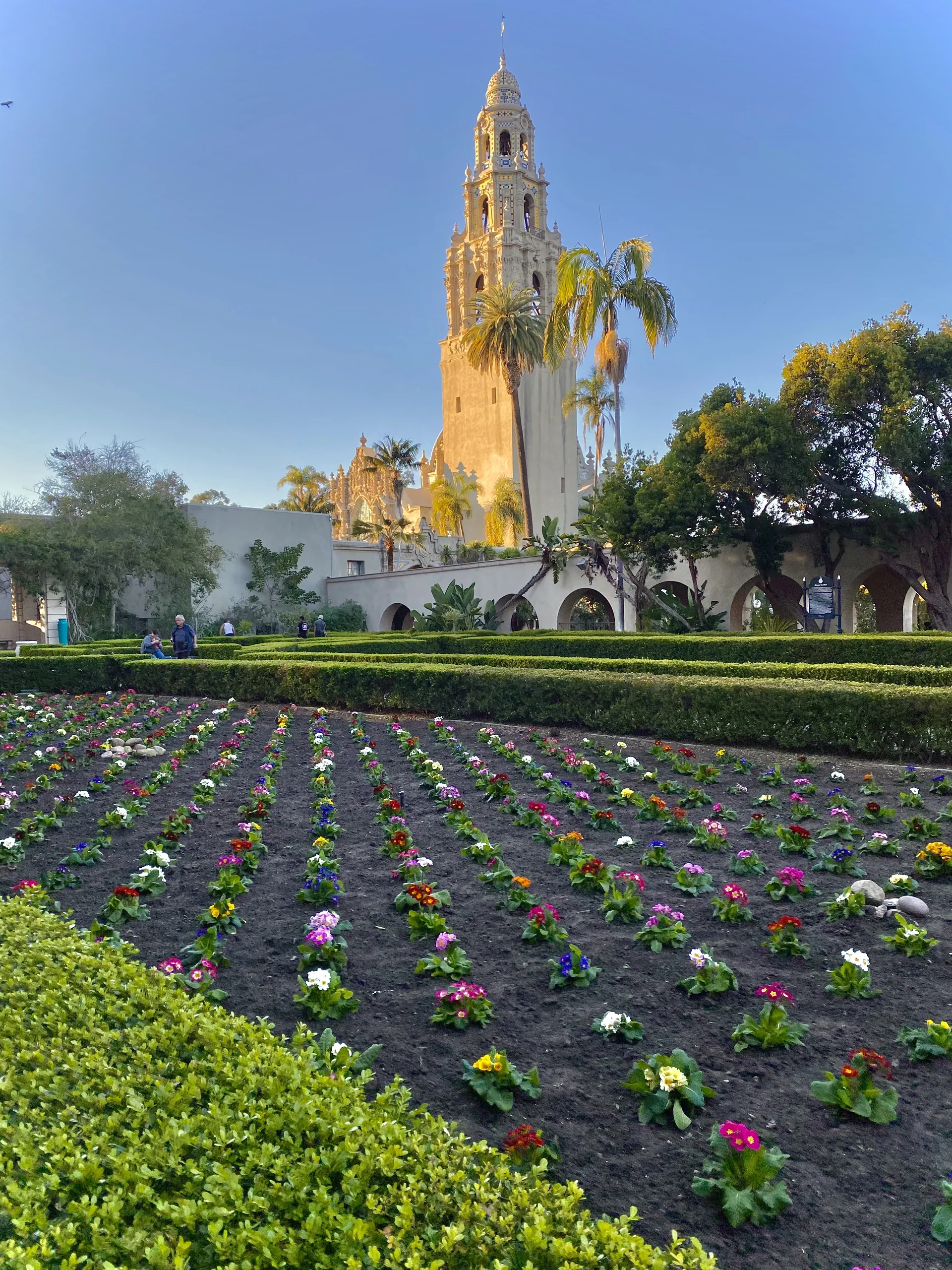 California Tower above planted garden beds in Balboa Park.